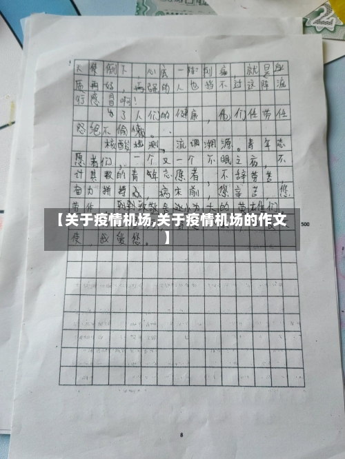 【关于疫情机场,关于疫情机场的作文】