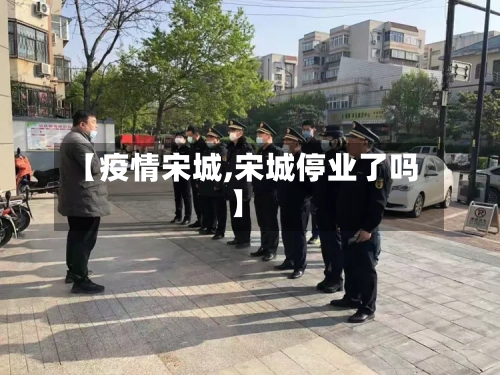 【疫情宋城,宋城停业了吗】