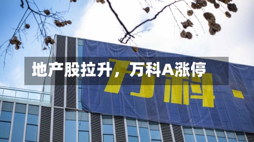 地产股拉升，万科A涨停