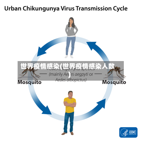 世界疫情感染(世界疫情感染人数)