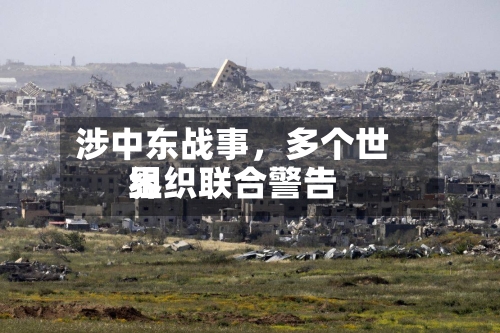 涉中东战事，多个世界组织联合警告
