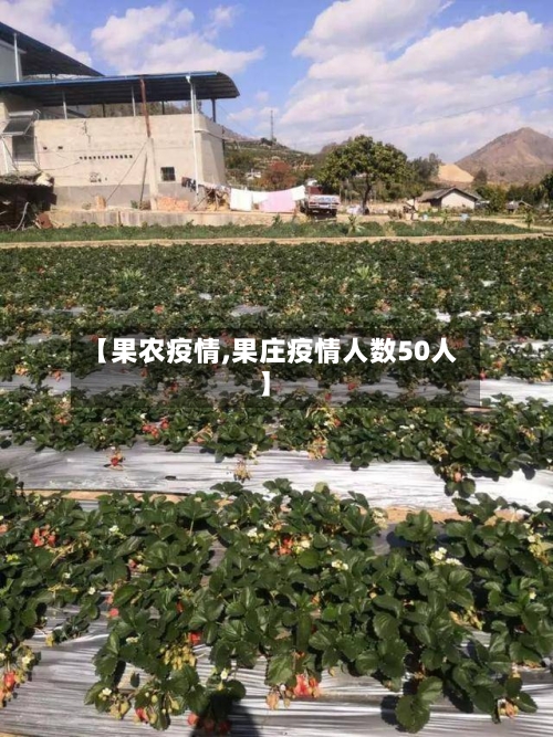 【果农疫情,果庄疫情人数50人】