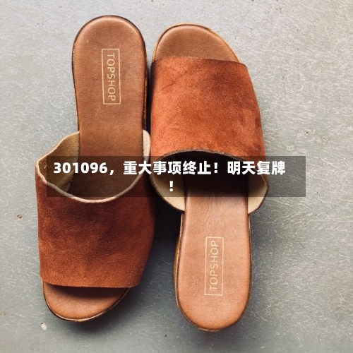301096	，重大事项终止！明天复牌！-第2张图片