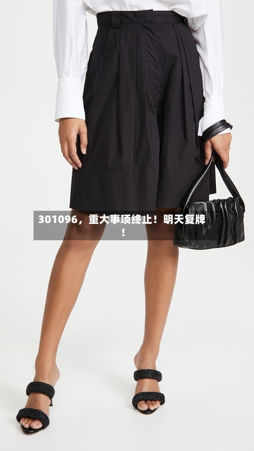 301096，重大事项终止！明天复牌！-第3张图片