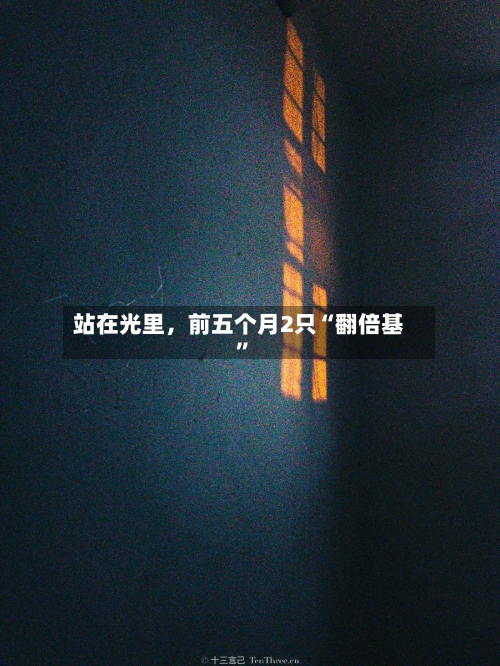 站在光里，前五个月2只“翻倍基”-第2张图片