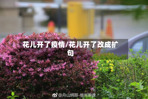 花儿开了疫情/花儿开了改成扩句-第3张图片