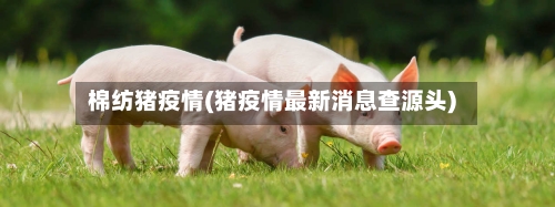 棉纺猪疫情(猪疫情最新消息查源头)