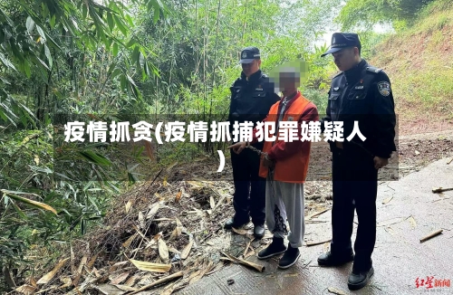 疫情抓贪(疫情抓捕犯罪嫌疑人)