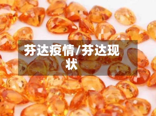 芬达疫情/芬达现状-第2张图片