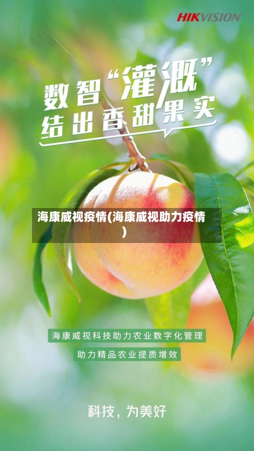 海康威视疫情(海康威视助力疫情)-第3张图片