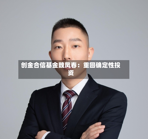 创金合信基金魏凤春：重回确定性投资-第3张图片