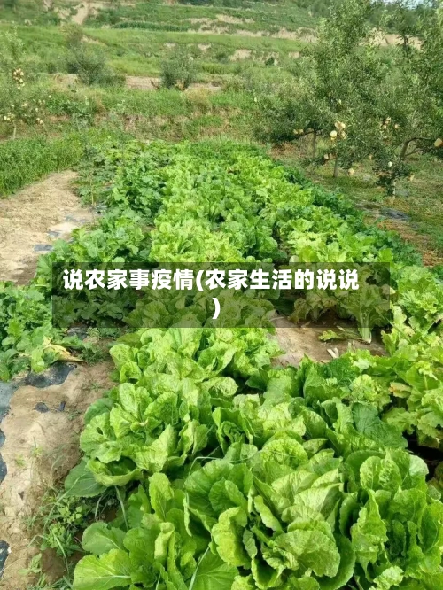 说农家事疫情(农家生活的说说)