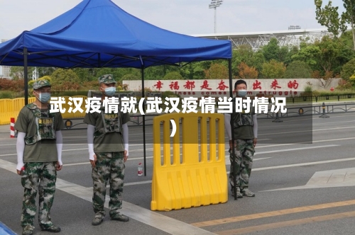 武汉疫情就(武汉疫情当时情况)-第3张图片