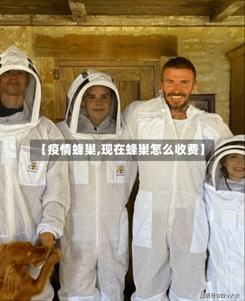 【疫情蜂巢,现在蜂巢怎么收费】