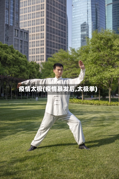 疫情太极(疫情暴发后,太极拳)