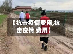 【抗击疫情费用,抗击疫情 费用】