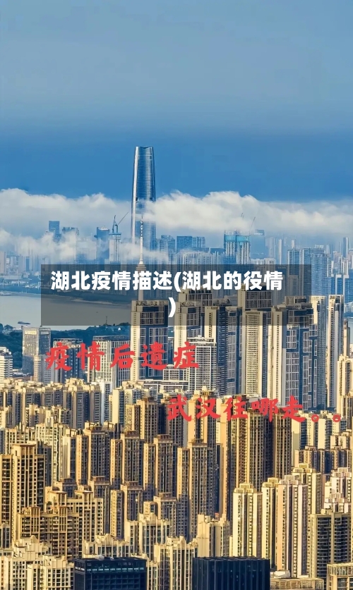 湖北疫情描述(湖北的役情)-第2张图片