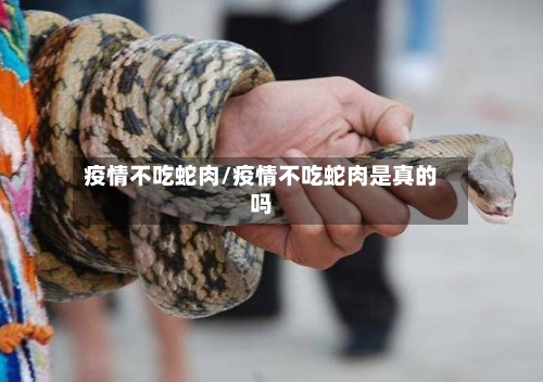 疫情不吃蛇肉/疫情不吃蛇肉是真的吗-第3张图片