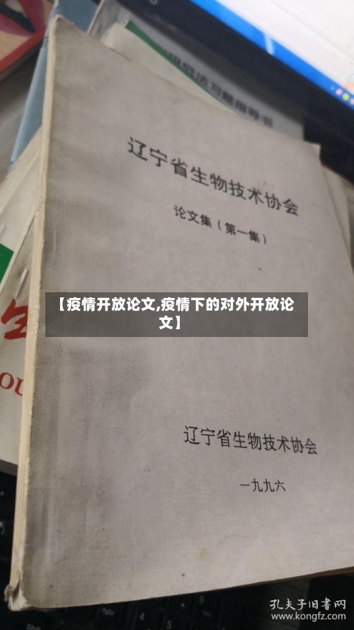 【疫情开放论文,疫情下的对外开放论文】-第2张图片