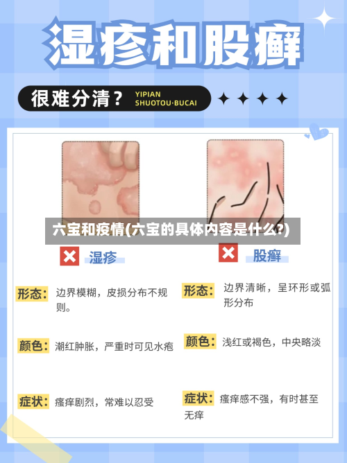 六宝和疫情(六宝的具体内容是什么?)-第2张图片