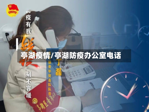 亭湖疫情/亭湖防疫办公室电话-第2张图片