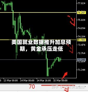 美国就业数据推升加息预期，黄金承压走低-第2张图片