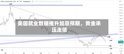 美国就业数据推升加息预期	，黄金承压走低-第3张图片