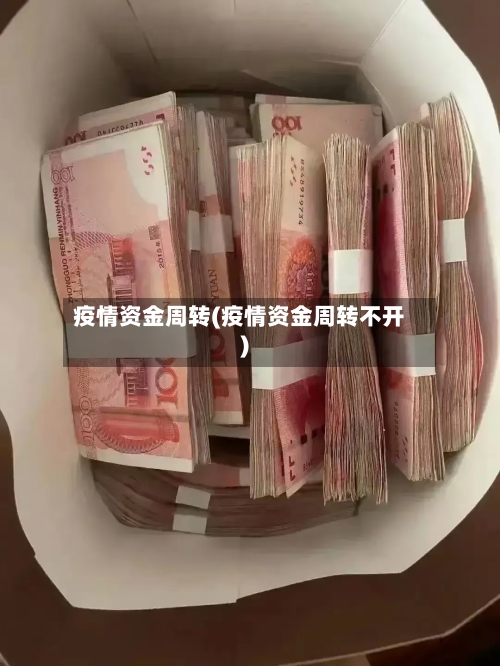 疫情资金周转(疫情资金周转不开)-第3张图片