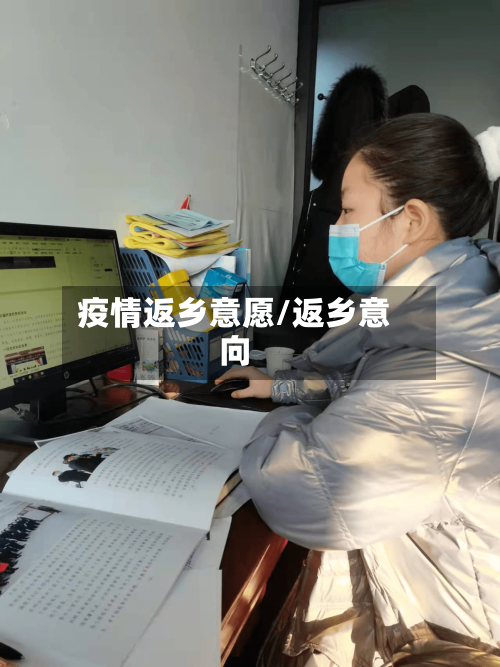 疫情返乡意愿/返乡意向-第2张图片