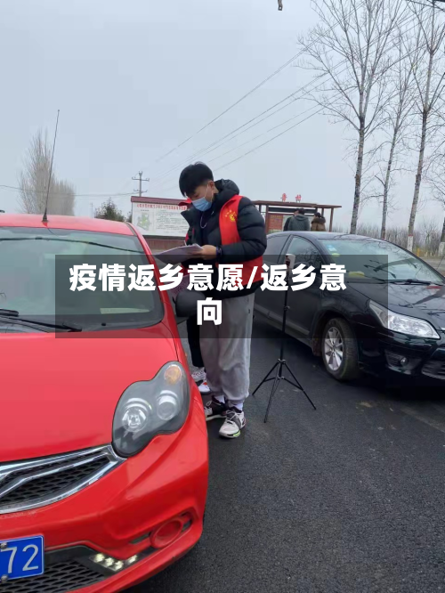 疫情返乡意愿/返乡意向