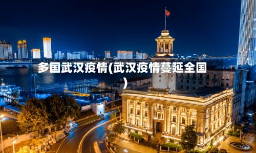 多国武汉疫情(武汉疫情蔓延全国)