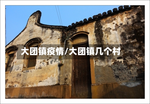 大团镇疫情/大团镇几个村-第3张图片