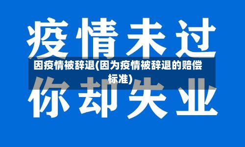 因疫情被辞退(因为疫情被辞退的赔偿标准)-第2张图片