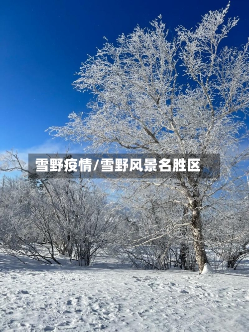 雪野疫情/雪野风景名胜区-第2张图片
