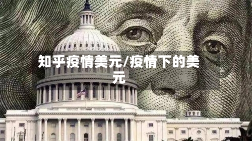 知乎疫情美元/疫情下的美元