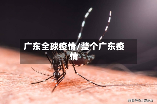 广东全球疫情/整个广东疫情-第3张图片