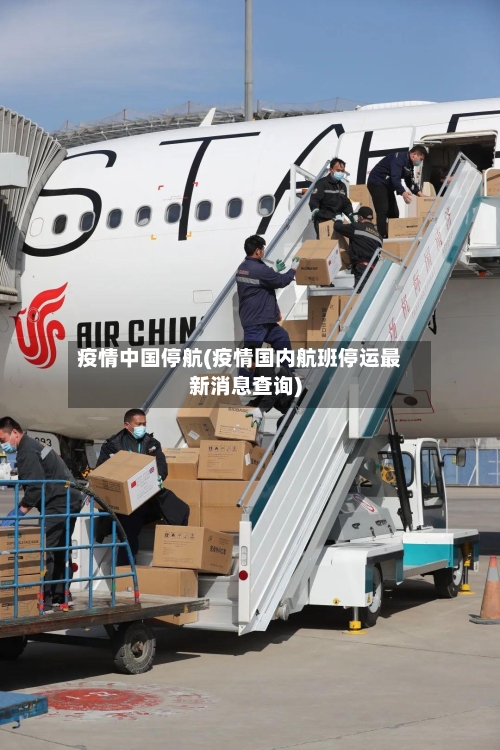 疫情中国停航(疫情国内航班停运最新消息查询)-第2张图片