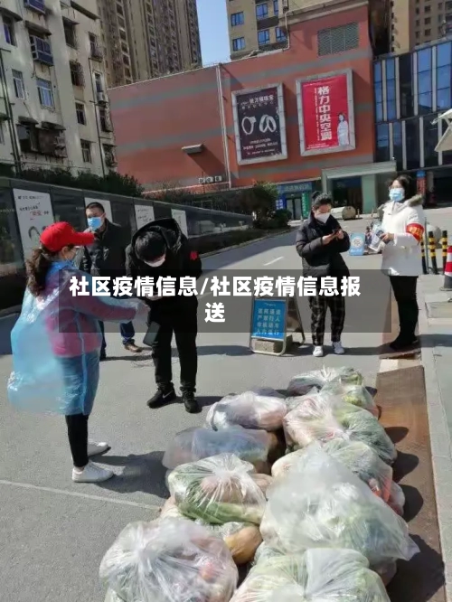 社区疫情信息/社区疫情信息报送-第2张图片