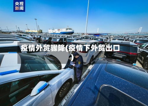 疫情外贸骤降(疫情下外贸出口)-第2张图片
