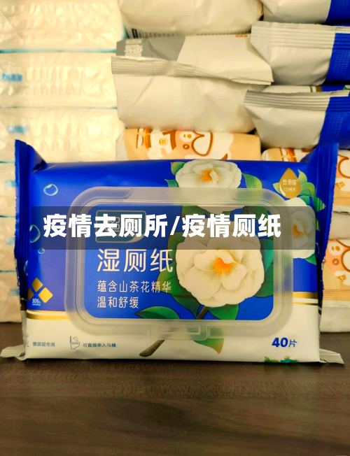 疫情去厕所/疫情厕纸