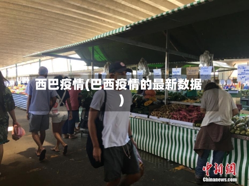 西巴疫情(巴西疫情的最新数据)