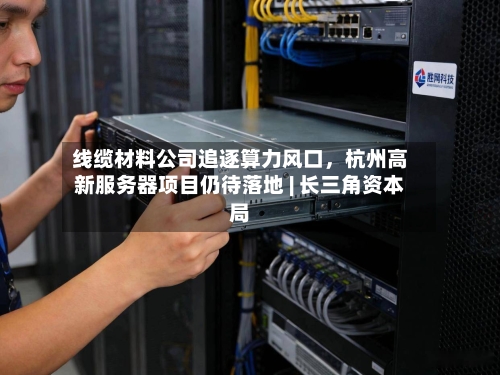 线缆材料公司追逐算力风口	，杭州高新服务器项目仍待落地 | 长三角资本局-第3张图片