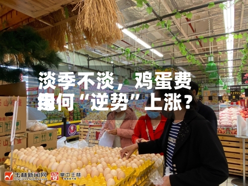 淡季不淡，鸡蛋费用缘何“逆势”上涨？