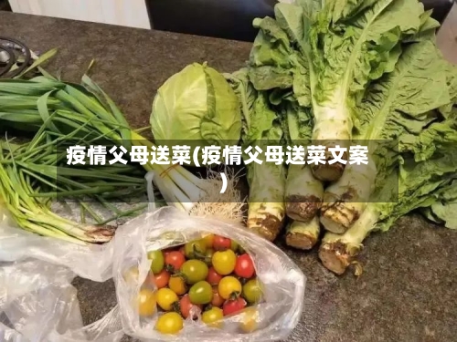 疫情父母送菜(疫情父母送菜文案)