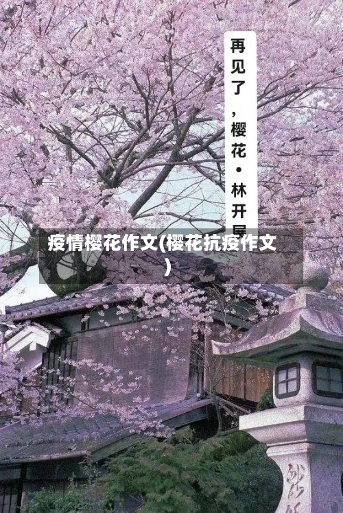 疫情樱花作文(樱花抗疫作文)-第3张图片