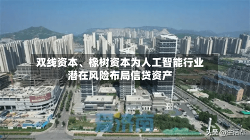 双线资本、橡树资本为人工智能行业潜在风险布局信贷资产-第2张图片