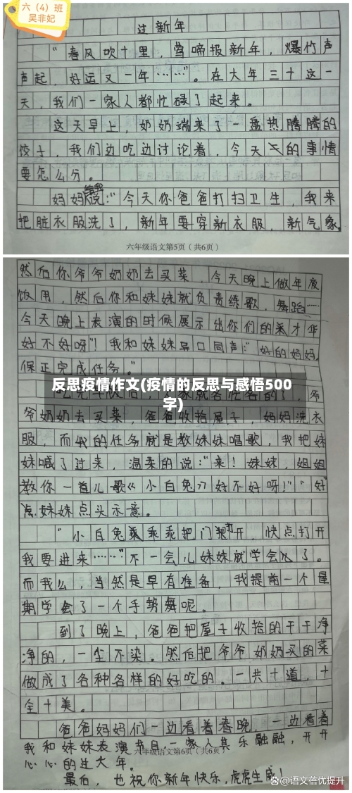 反思疫情作文(疫情的反思与感悟500字)