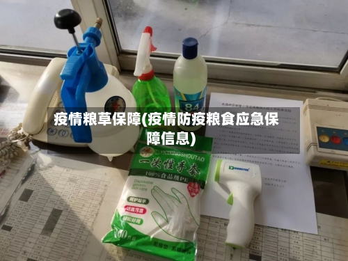 疫情粮草保障(疫情防疫粮食应急保障信息)-第3张图片