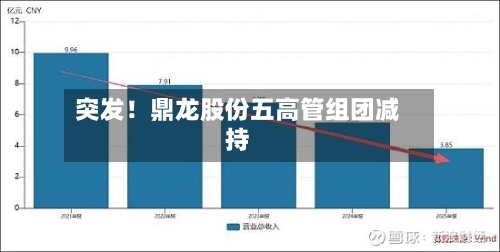 突发！鼎龙股份五高管组团减持