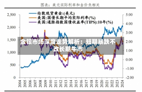 金银市场深度走势解析:短期暴跌不改长期牛市-第2张图片